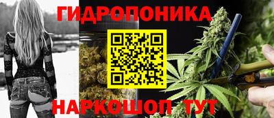 твердый Новозыбков
